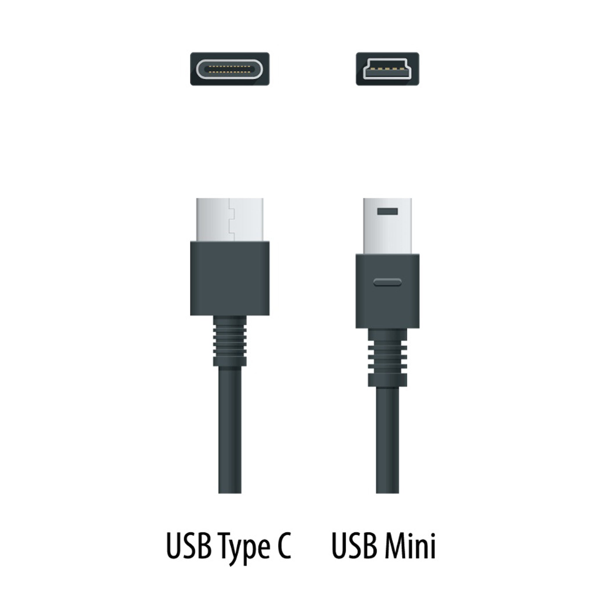 USB Type C to Type Mini B Cable - 6'