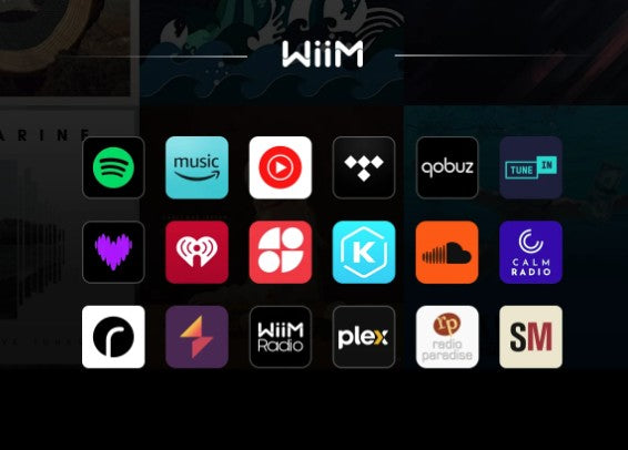 WiiM Pro - Hi-Resolution Audio Music Streamer