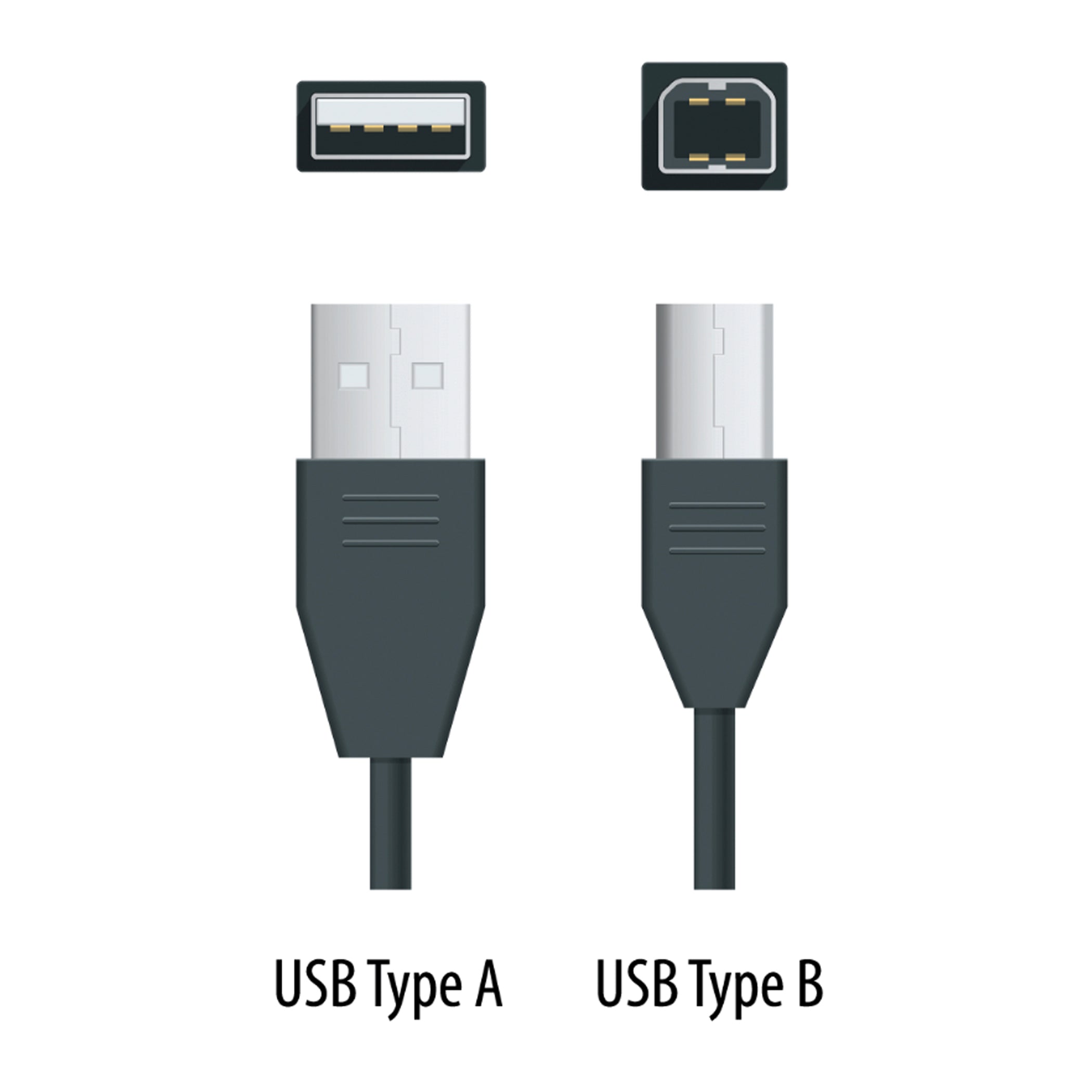 USB Type A to Type B Cable - 15'