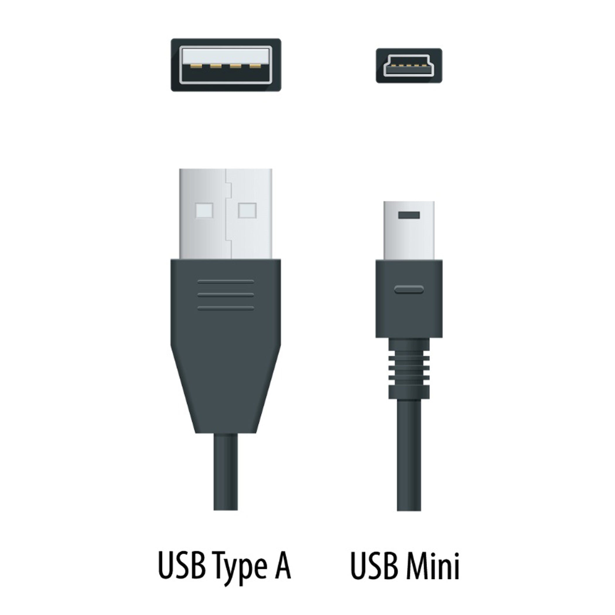 USB Type A to Type Mini B Cable - 15'