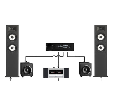 miniDSP Flex TRS