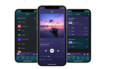 WiiM Pro - Hi-Resolution Audio Music Streamer
