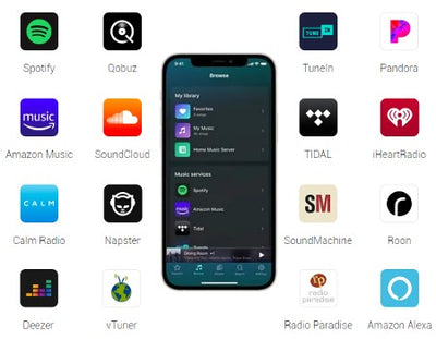 WiiM Pro - Hi-Resolution Audio Music Streamer